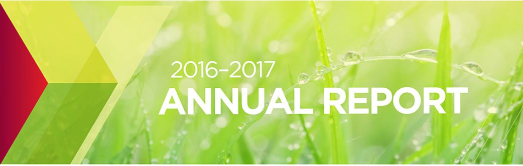Green banner with 'Annual Report 2016–2017'. 