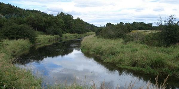 Ruisseau Marsh