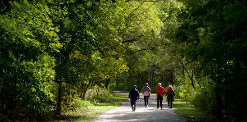 People strolling on an unpaved path in the forest