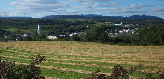 Paysage agricole à Saint-Tite-des-Caps 