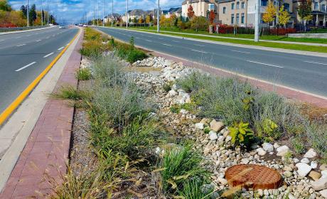 Median strip filled with shrubs, stones and drainage stretches into the distance on busy road.
